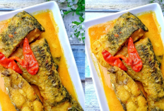 Resep Ikan Patin Bumbu Kuning yang Gurih dan Segar, Rahasia Masakan Rumahan Anti Amis!