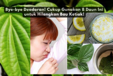 Bye-bye Deodoran! Cukup Gunakan 8 Daun Ini untuk Hilangkan Bau Ketiak!