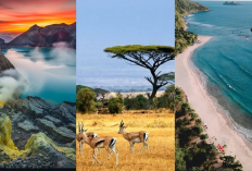 Jangan Lewatkan! 3 Destinasi Wisata Terpopuler di Banyuwangi dengan Pesona Alam Memukau