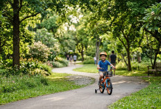 Push Bike Bukan Sekadar Mainan! Ini 6 Manfaat Sepeda Keseimbangan yang Bikin Tumbuh Kembang Anak Makin Optimal