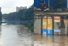 Pintu Air Manggarai Level Waspada! Muka Air Tembus 795 Cm Imbas Luapan Kali Ciliwung dan Hujan Deras