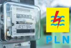 Kabar Gembira! Tarif Listrik Aman, Gak Naik Sampai Juni 2025!