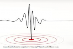 Update Terkini, Gempa Bumi Berkekuatan Magnitudo 5.0 Guncang Wilayah Pulau Doi Maluku Utara, Waspada Susulan!