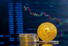 Tertinggi Dalam Sejarah, Harga Bitcoin Hari Ini Tembus Segini!
