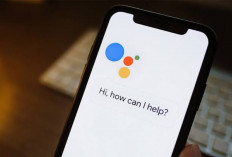 17 Fitur Terkenal Google Assistant Akan Dihapus, Simak Daftar Lengkapnya  