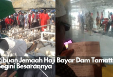 Ribuan Jemaah Haji Bayar Dam Tamattu, Segini Besarannya