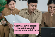 Berpotensi Jadi ASN, Pelamar PPPK 2024 Berpeluang Besar pada periode kedua Dibandingkan Yang Pertama