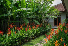 5 Rekomendasi Tanaman Hias untuk Teras Rumah, Bikin Tampilan Lebih Elegan! 