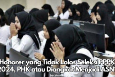 Nasib Tenaga Honorer yang Tidak Lolos Seleksi PPPK 2024, PHK atau Diangkat Menjadi ASN? Ini Penjelasannya