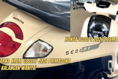 Honda Scoopy 2026 Resmi Hadir, Warna Krem Glossy Jadi Primadona di Kalangan Wanita!