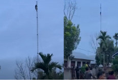 Diduga Tak Diizinkan Menikah, Wanita Muda di PALI Nekad Panjat Tower Telekomunikasi 