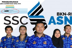 Tetap Tenang! Ini Ternyata Alasan Mengapa Belum Terima Hasil Seleksi Administrasi CPNS 2024