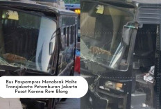 Alami Rem Blong, Bus Paspampres Tabrak Halte Transjakarta Petamburan, Begini Kronologinya 