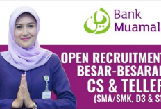 Untuk Semua Jurusan, Yuk Lamar Lowongan Kerja di Bank Muamalat Indonesia, Bisa Dapat Benefit Ini Lho!
