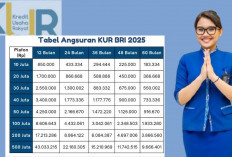 Butuh Modal Usaha? Cek Tabel Angsuran KUR BRI 2025 Rp25 Juta, Bunga Ringan & Tenor Fleksibel!