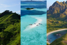 3 Destinasi Wajib di Labuan Bajo! Bukit Sylvia, Taka Makassar & Pulau Padar untuk Liburan Impian