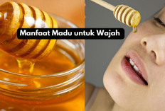 5 Manfaat Madu untuk Wajah yang Wajib Kamu Tahu, Bikin Kulit Glowing Alami!