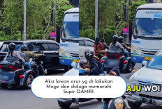 Viral! Beredar Video Moge Melawan Arah dan Diduga Memarahi Supir DAMRI, Netizen : Haduh Pak Pak... 