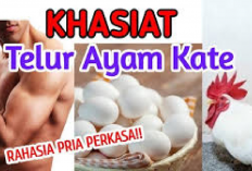 6 Khasiat Konsumsi Telur Ayam Kate Secara Rutin Bagi Kesehatan, No 4 Pasti Kamu Gak Nyangka! Cek Disini