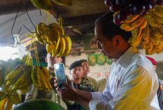 Jokowi Diteriaki ‘Mulyono’ saat Cek Harga Sembako di Pasar Surabaya, Warga Antusias Minta Ini!