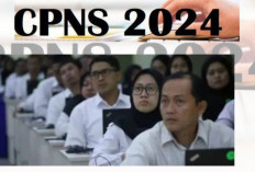 Info Penting! Jadwal dan Materi SKB CPNS Kemenkeu 2024, Cek Detailnya di Sini