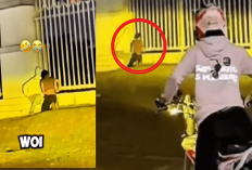 Niatnya Bikin Konten Greget, Motovlogger Pergoki 'Pasangan Mesum' di Pakansari Malah Terancam Bui!