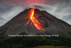 Info Terupdate, Kondisi Gunung Merapi Setelah Semburkan Lava Pijar Hingga 40 Kali, Status Level Siaga!