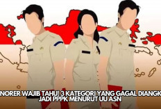 Honorer Wajib Tahu! 3 Kategori yang Gagal Diangkat Jadi PPPK Menurut UU ASN