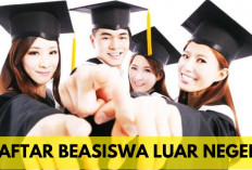 3 Daftar Beasiswa Luar Negeri Tanpa Sertifikat TOEFL dan IELTS, Yakin Ga Mau Ikut? 