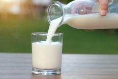 Susu kedelai dan susu Sapi, Mana yang Lebih Sehat Untuk Tubuh? Begini Penjelasnya...