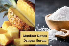 Siapa Sangka! Makan Nanas dengan Garam Ternyata Banyak Manfaat Lho, Yok Cek Disini Apa Aja Ya?