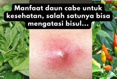 6 Manfaat Daun Cabe untuk Kesehatan, Dari Mengobati Bisul hingga Meningkatkan Imunitas