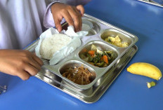 Tekan Resiko Keracunan Program MBG, BGN Latih 10.000 Petugas SPPG: untuk Memahami Prinsip Higienis!