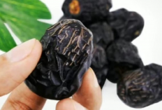 Kenapa Berbuka Puasa Dianjurkan Makan Kurma Dulu? Ini Penjelasannya yang Mengejutkan!