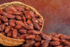Ramadhan Semakin Dekat! Kenali Manfaat Kurma Sukari untuk Kesehatan dari Al Qaseem Arab Saudi
