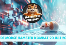 Sudah Keluar! Kode Morse Hamster Kombat Khusus Hari ini 20 Juli 2024, Dijamin Berhasil Gaes...