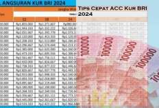 Bingung Mau Cairin KUR BRI 2024 Tapi Belum ACC? Ini Ternyata Tips dan Beberapa Hal yang Harus Kamu Hindari...