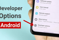 Gampang! 4 Cara Aktifkan Fitur Tersembunyi Android 'Mode Developer' Gini Caranya...