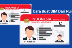 Ini Daftar Negara ASEAN Yang Akui SIM Indonesia, Begini Tampilan Baru SIM Usai Alami Perubahan 