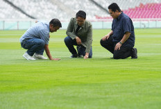 Ini Komentar Ketum PSSI Terkait Kondisi Rumput SUGBK Jelang Indonesia vs Jepang