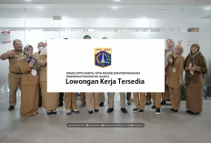 LOKER TERBARU Dinas Cipta Karya DKI Jakarta Buka Lowongan Assitant Professional Dengan Kualifikasi Seperti Ini
