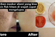 Rahasia Kulit Bersih, 3 Racikan Masker Alami untuk Menghilangkan Flek Hitam di Wajah Agar Cepat Mengelupas...