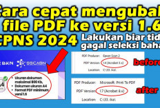 Agar Tidak Gagal, 4 Cara Mudah Mengecek PDF Versi 1.6 untuk Pendaftaran CPNS 2024, Jangan Keliru!