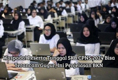 Waspada! Peserta Tunggal SKB CPNS 2024 Bisa Terancam Gugur, Ini Penjelasan BKN