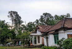 Angin Kencang 2 Menit 27 di Rumah di Muara Telang Rusak 