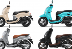 Honda Scoopy 150 2026, Desain Lebih Keren dari Vespa Matic? Gebrakan Skutik Terbaru!