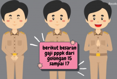 Berikut Besaran Gaji PPPK Golongan 15, 16 dan 17 Setelah Adanya Kenaikan Gaji PNS 2025, Naik Berapa?  