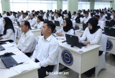 Resmi! Syarat Passing Grade CPNS 2024 dari MenPAN RB, Ini Nilai yang Harus Diraih Peserta, Sudah Siap?