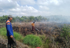 Meski Sudah Turun Hujan Masih Ada Lahan Gambut yang Terbakar, Petugas Tetap Waspada