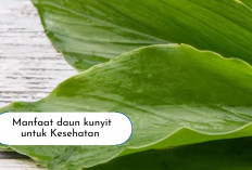 Moms Harus Tau! 5 Manfaat Daun Kunyit untuk Kesehatan, Bisa Hempas Flek Hitam Juga Lho Ternyata...